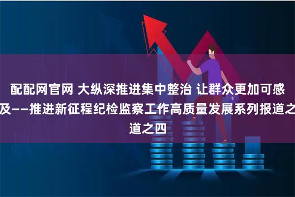 配配网官网 大纵深推进集中整治 让群众更加可感可及——推进新征程纪检监察工作高质量发展系列报道之四